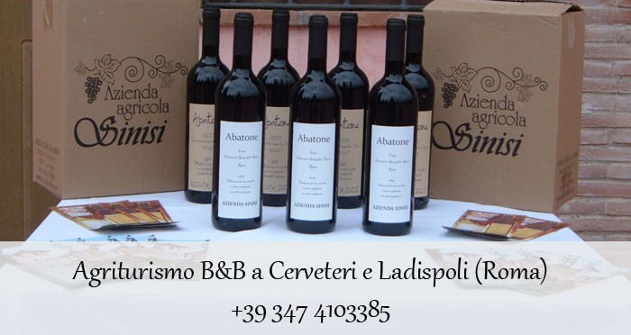 vino prodotto dall'agriturismo