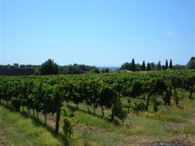 Agriturismo Cerveteri Ladispoli